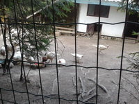 Pensiunea Casa Bunicilor Manastirea Humorului